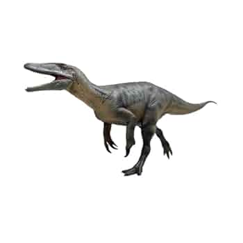 Amazon.co.jp: HAOLONGGOOD 1/35サイズ メガラプトル 恐竜